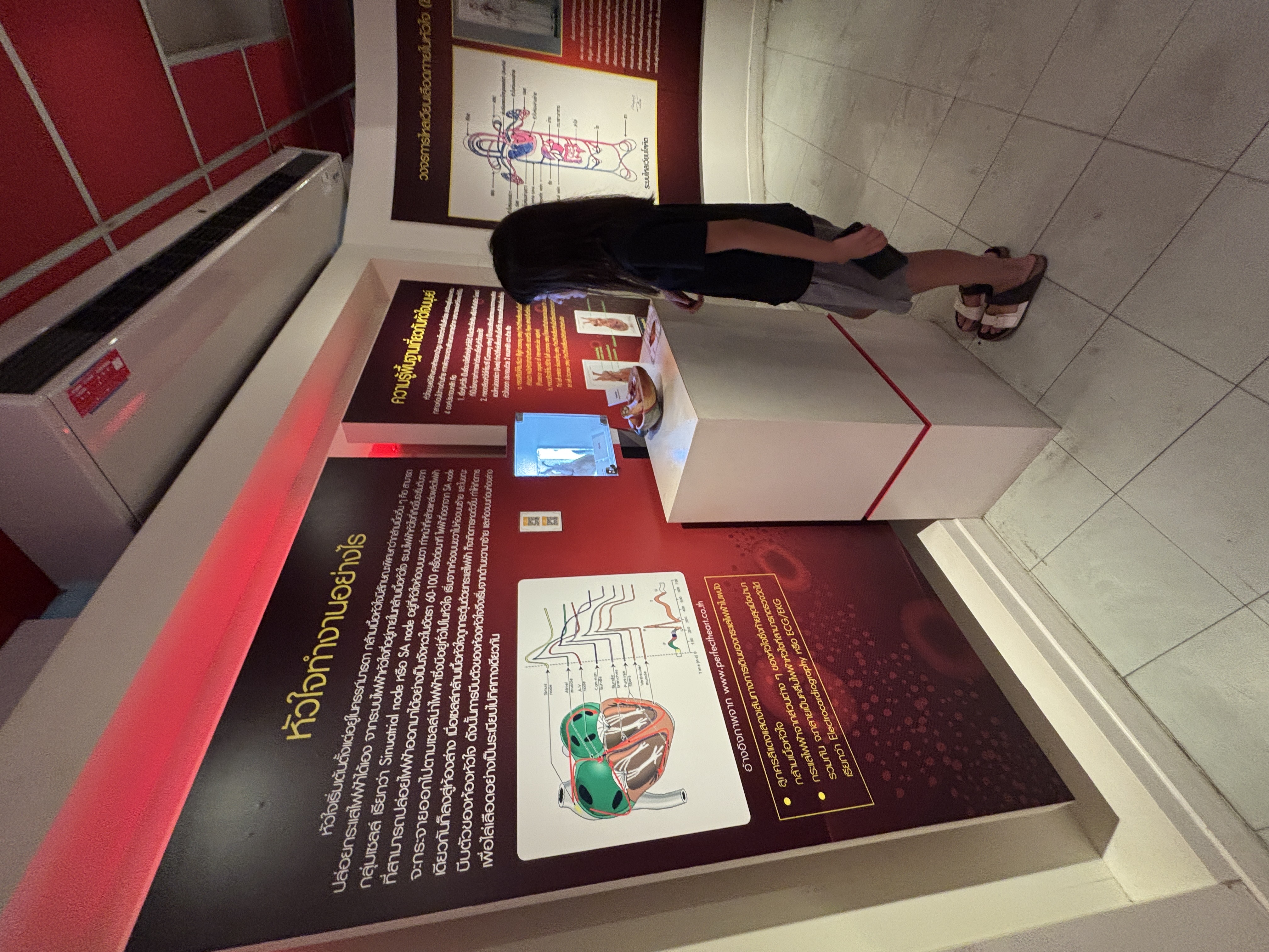 พิพิธภัณฑ์ ศิริราช