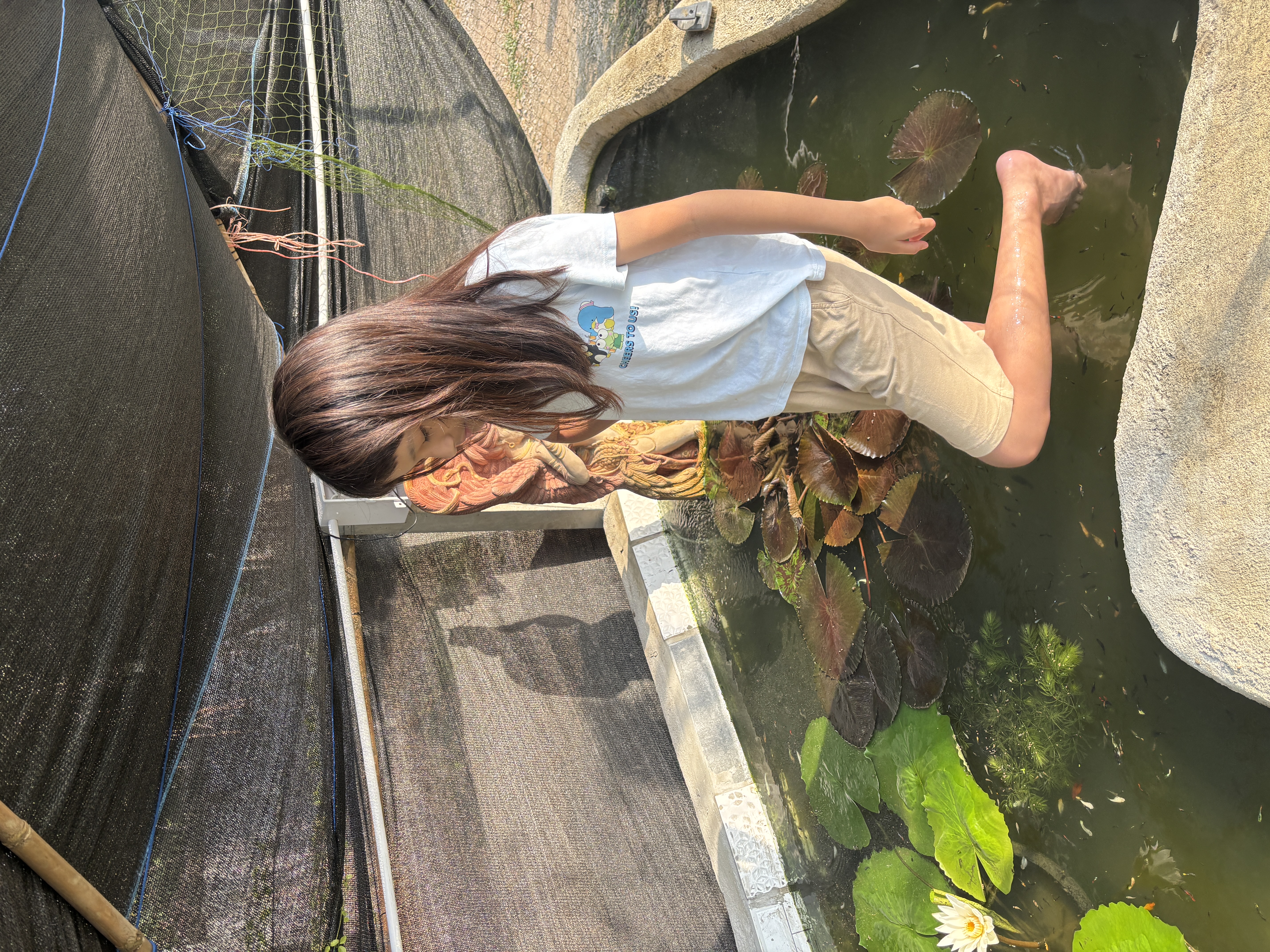 ให้อาหารปลา