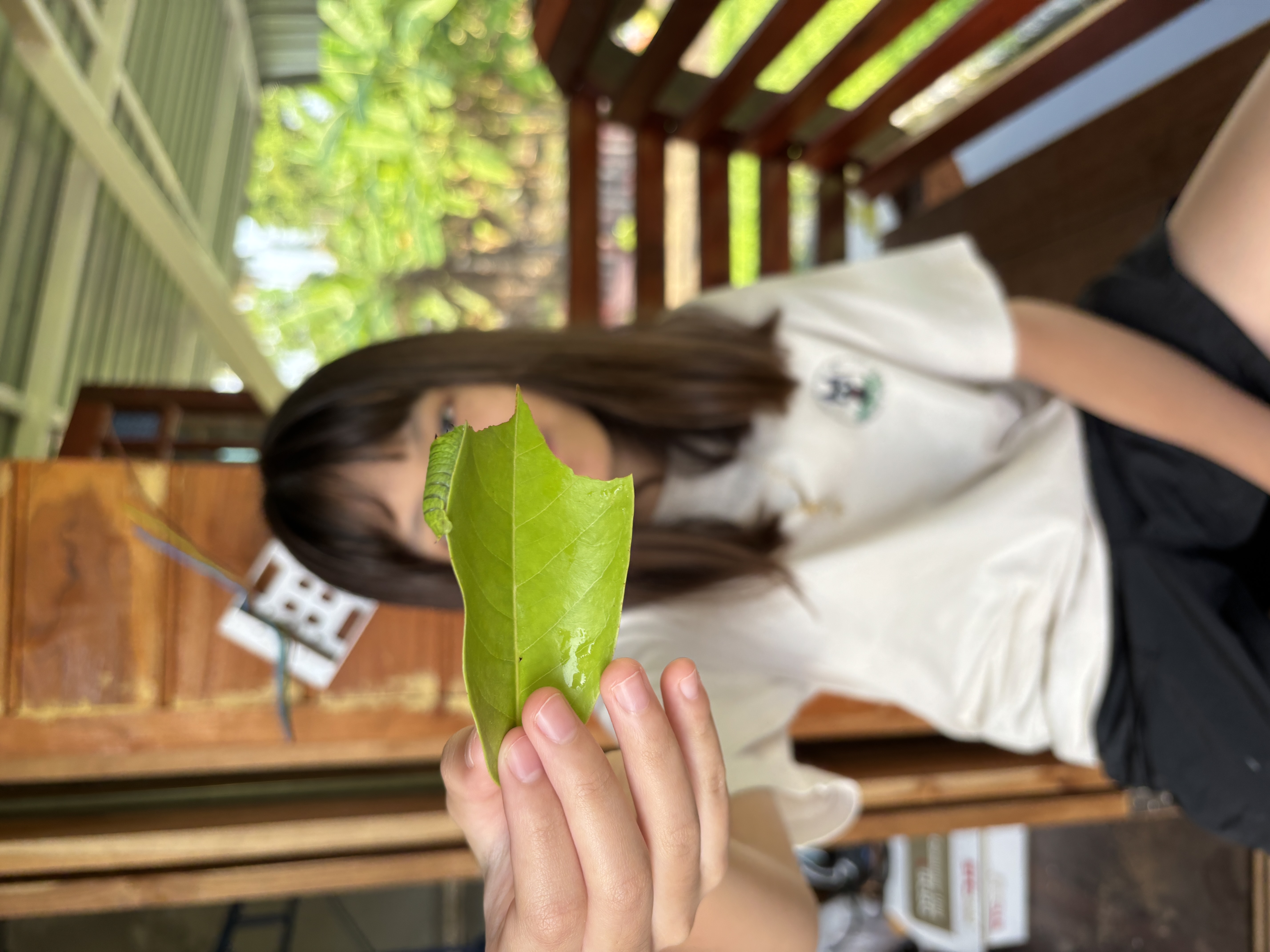 สำรวจหนอน