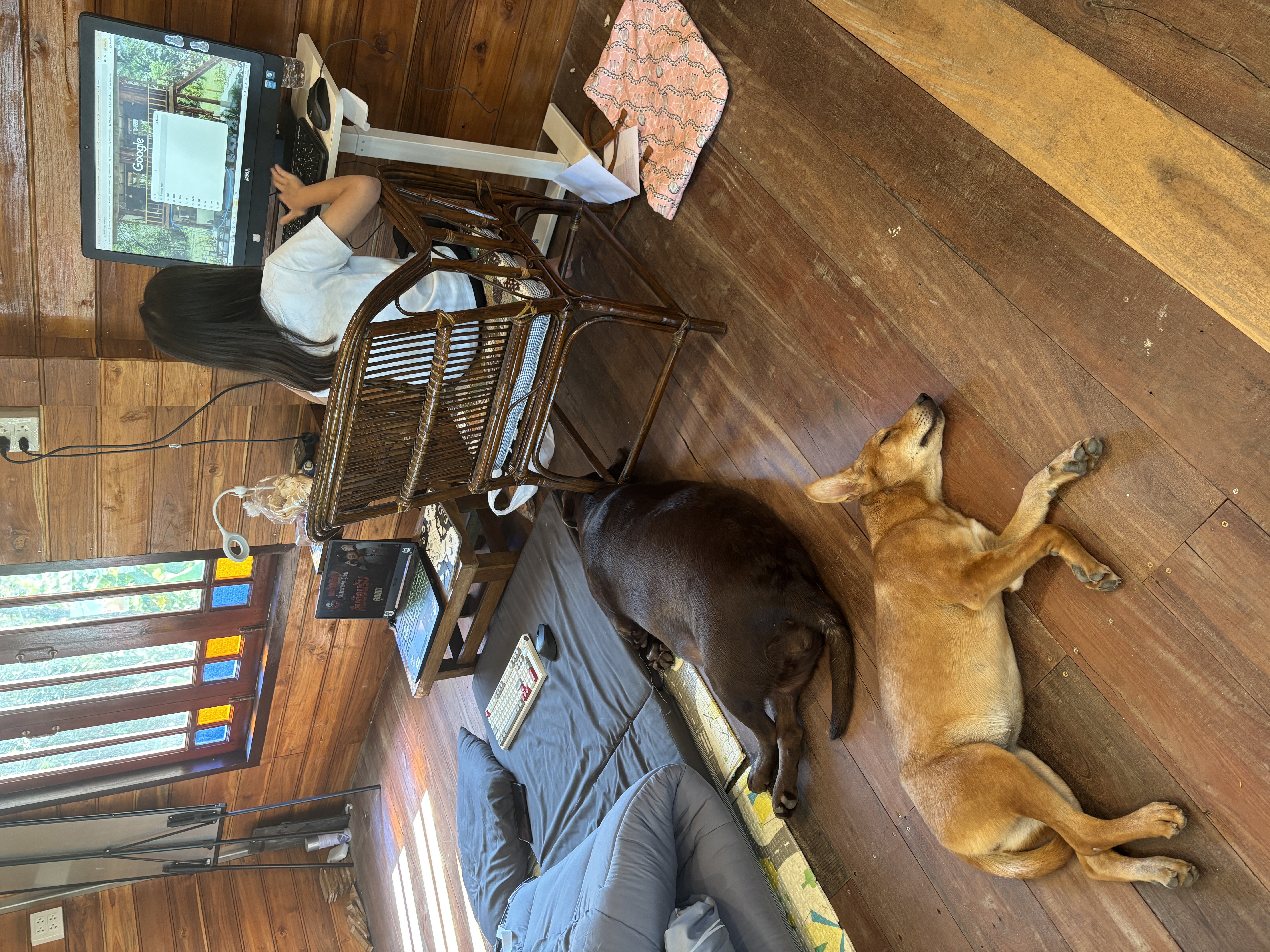 ฝึกพิมพ์ และตกแต่งภาพจา่กคอมพิวเตอร์