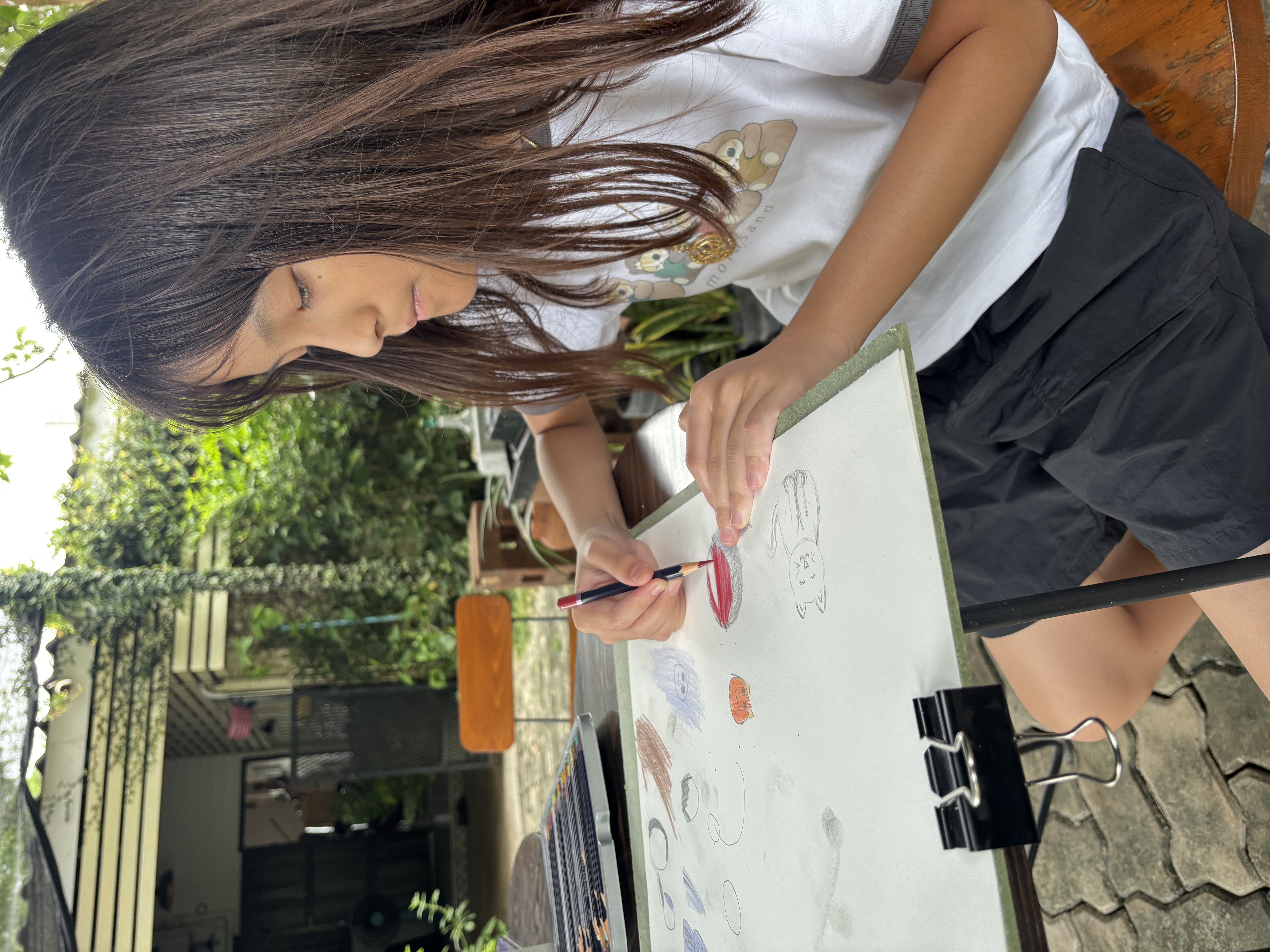 วาดรูปแมว