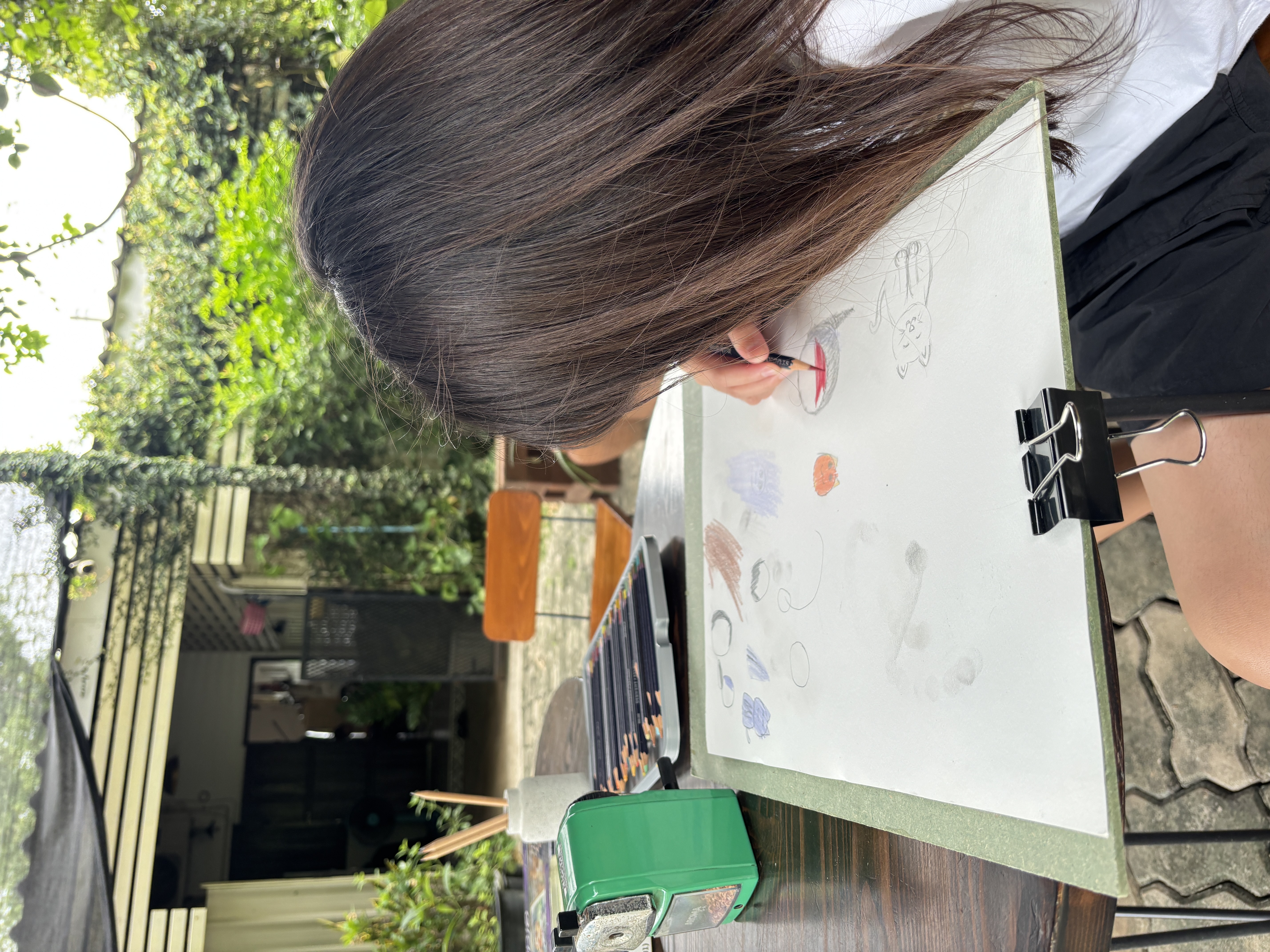 วาดรูปแมว