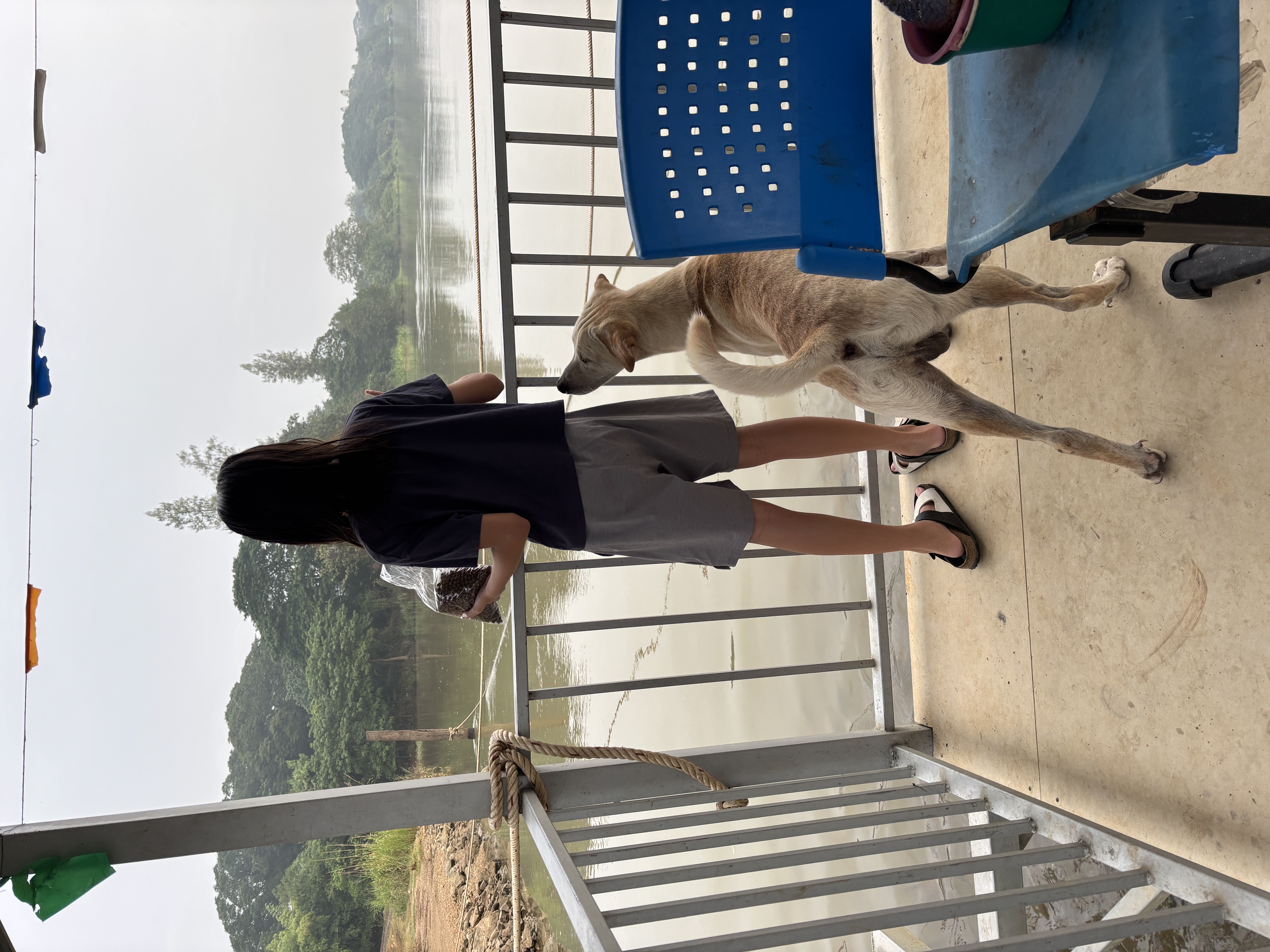 เลี้ยงปลาที่้วัด