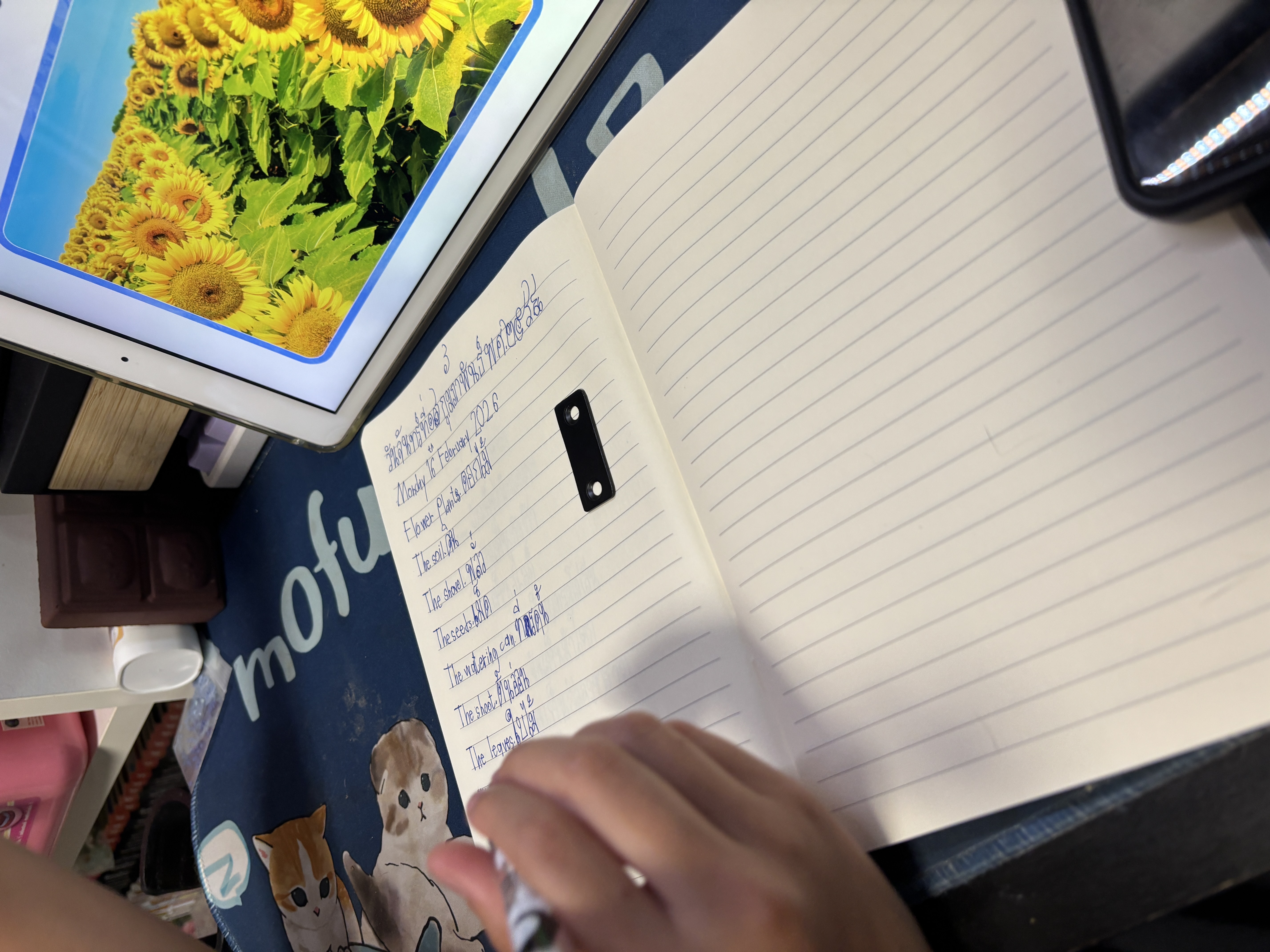 ฝึกเขียนภาษาอังกฤษ และภาษาไทย