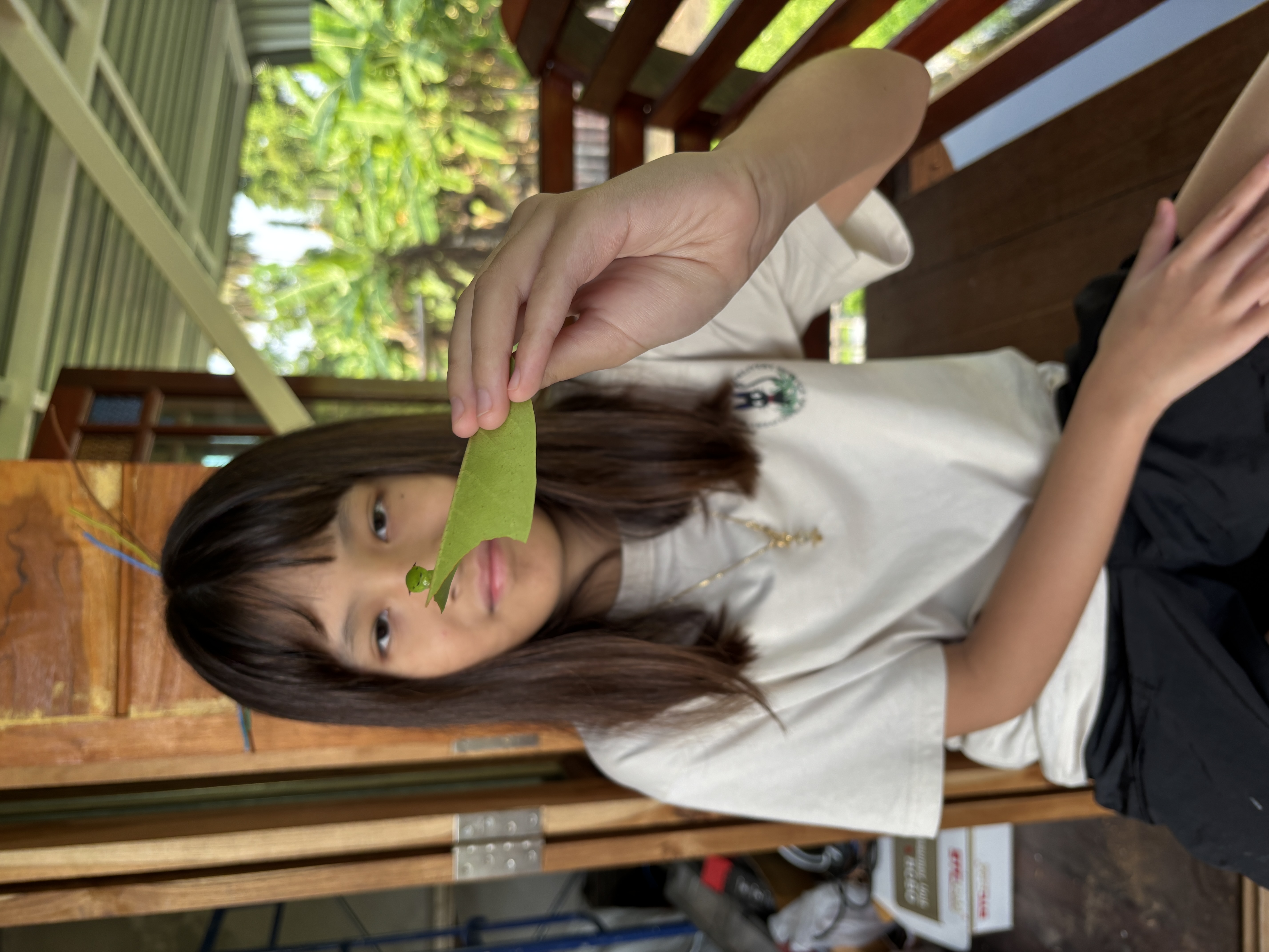 สำรวจหนอน