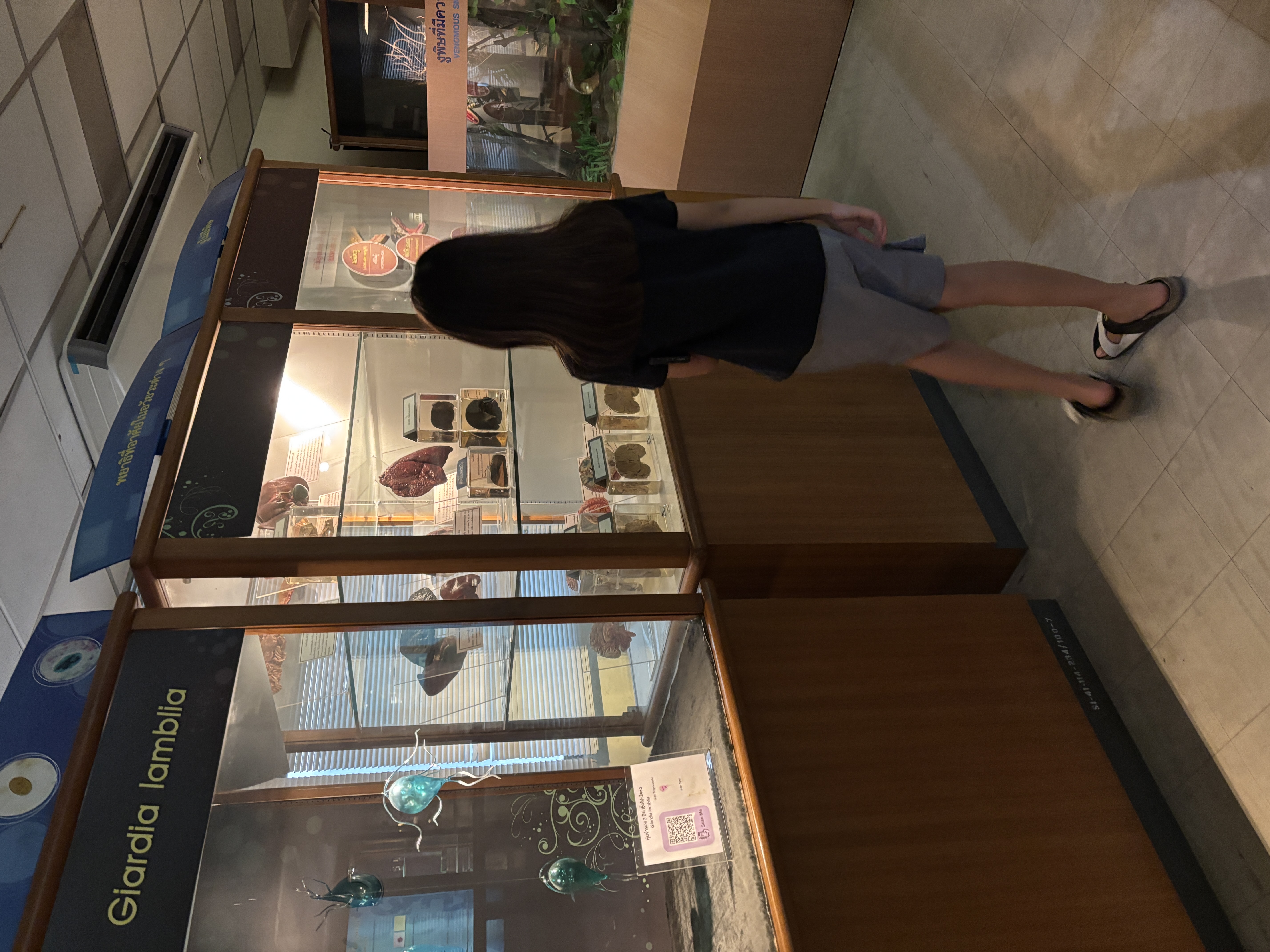 พิพิธภัณฑ์ ศิริราช