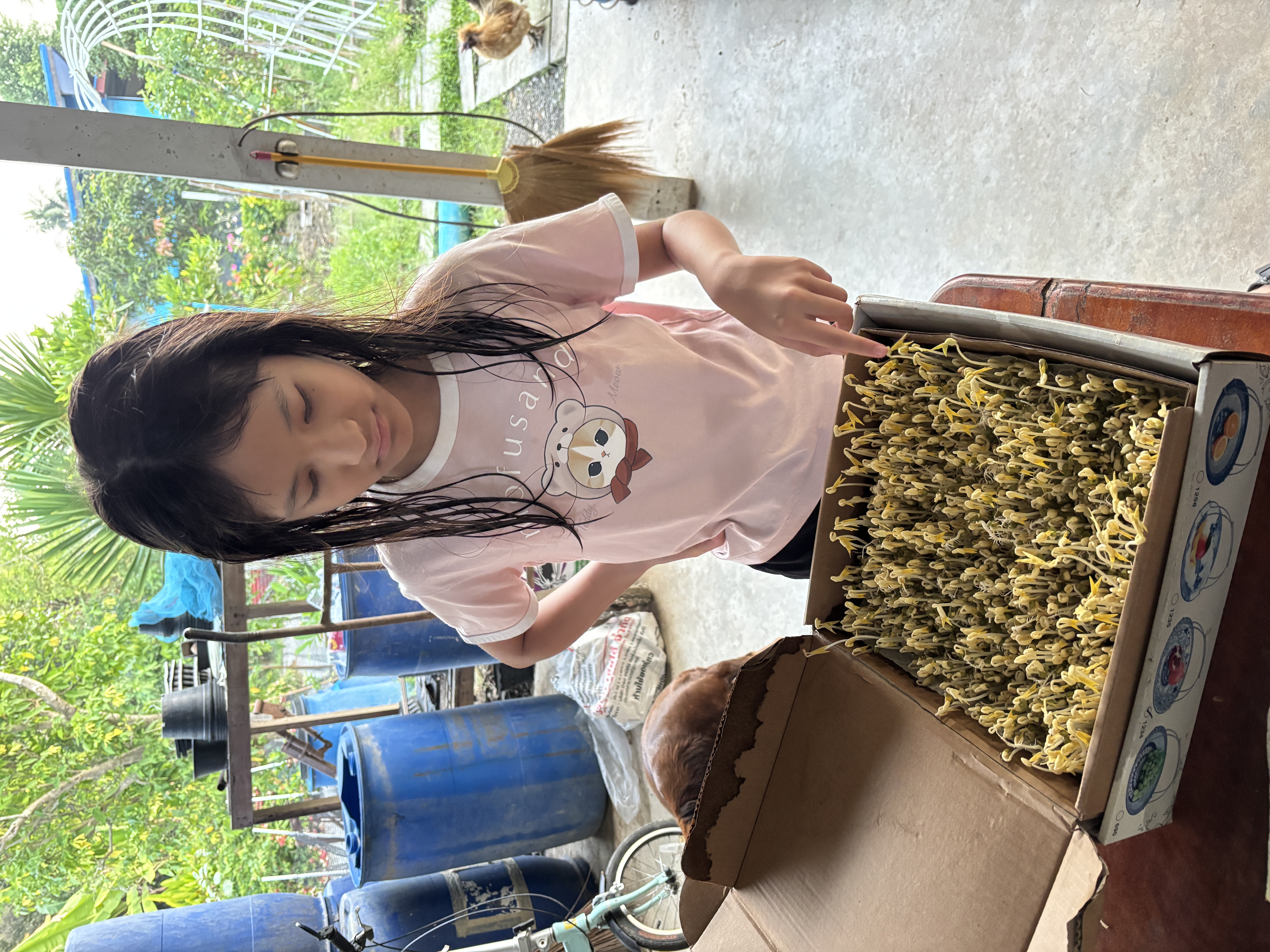 ปลูกถั่วงอห